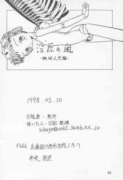 (CR23) [Hikagemono (Hikage Tetsuo)] Botsugen no Arashi