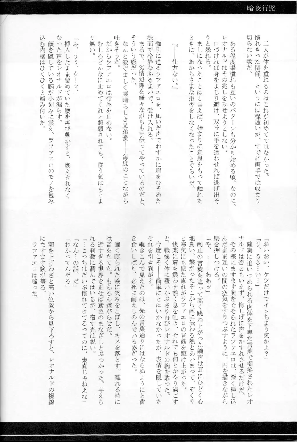 FALLEN - Raph vs Leo - Teenage Mutant Ninja Turtles, TMNT doujinshi