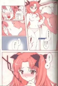 (C65) [Renai Mangaka (Naruse Hirofumi)] Magic For You! (Fate/stay night)