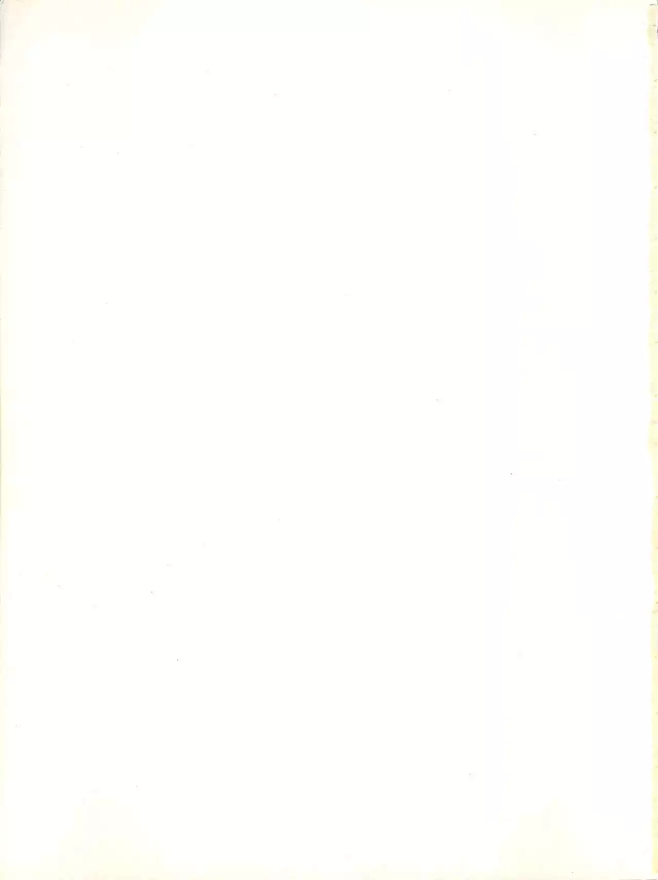 SUPER REAL ELENA THE FINAL