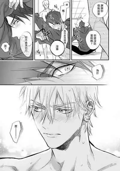 Burlesque Night | 艳舞荒诞夜