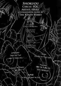 (C74) [POC {Provisional Operations Command}(Hans)] Shokuou [English][Rabbit Reich]