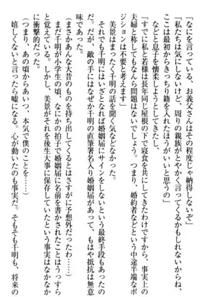 年上メイドの新婚日記