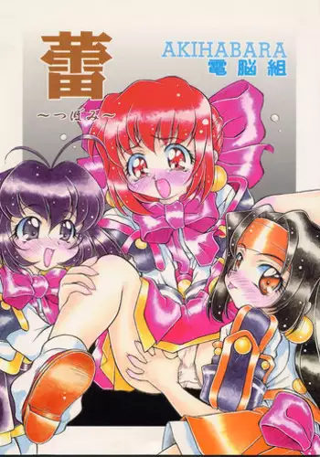 (C54) [Hime Club (Kirikaze)] Tsubomi (Akihabara Dennou Gumi)