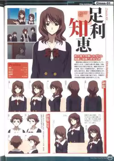 Cross Days Visual Fan Book