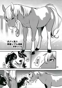 (C94) [迷い猫(奈賀つくね)] 犬♂×馬♀ (MARE HOLIC6 ケモラヴァEX) [Chinese] [呜喵个人汉化]