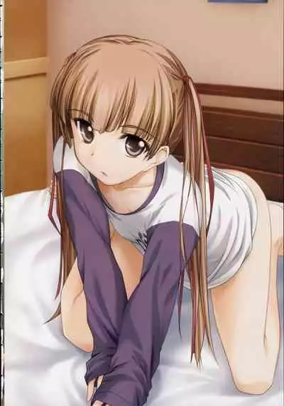 Shin Ringetsu Visual Fanbook