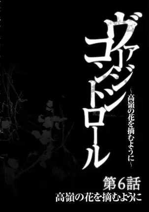 Virgin Control ~Takane no Hana o Tsumu you ni~