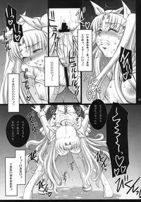 (C75) [H.B (B-RIVER)] Red Degeneration -DAY/4- (Fate/stay night)