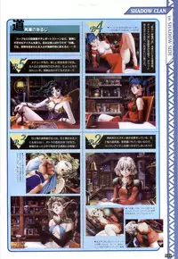 (一般画集) [elf] WORDS WORTH 完全ガイド