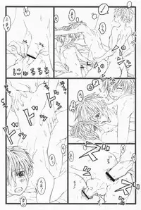 (Shotaket & Shota Scratch Omega) [Reflection (Various)] Anthurium