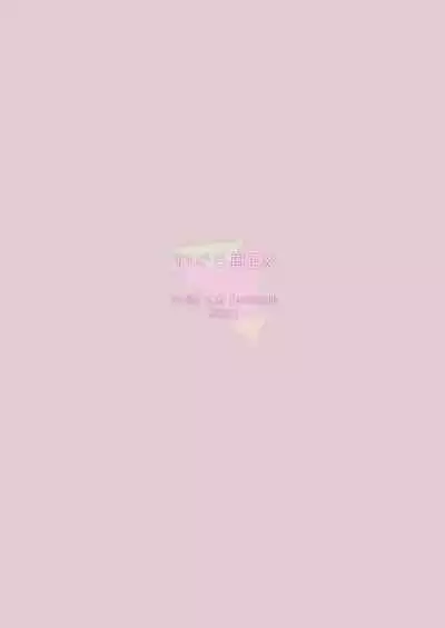 DELTA ATTACK II P.C.S Illustration Book