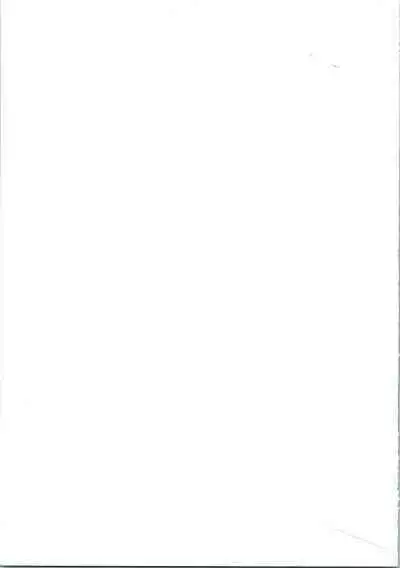 (C47) [Ayashige Dan (Various)] Majokko Knight 2 (Magic Knight Rayearth)