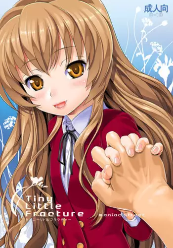 [Maniac Street (Sugaishi)] Tiny Little Fracture (Toradora!) [Digital]