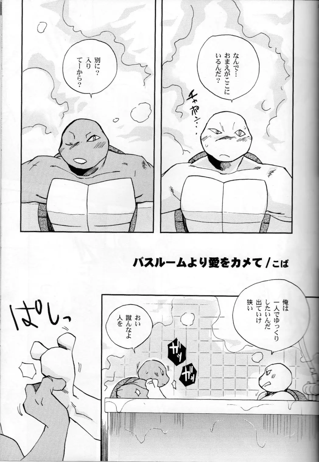 FALLEN - Raph vs Leo - Teenage Mutant Ninja Turtles, TMNT doujinshi