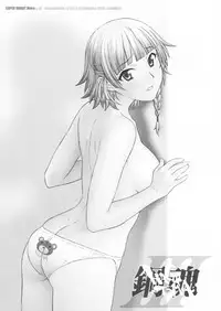 (C70) [Wagamama Dou (Shoumaru)] HAGATAMA FINAL (Super Robot Wars)