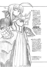 [NNZ DAN (Great Majin)] Fate Ippatsu! (Fate/stay night)