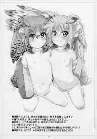 (C92) [Tohgoo (Fuyutugu)] Hakase Joshu no Kaikata (Kemono Friends)