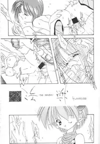(C50) [Chokudoukan] Sokkyuuou 2