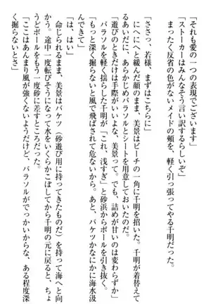年上メイドの新婚日記