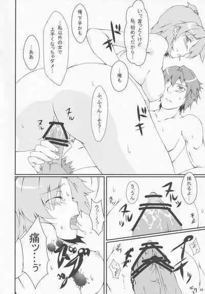 Pawaplus H 2012 Fuyu