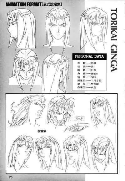 This is Animation Pocket- Chouja Reideen Character Book