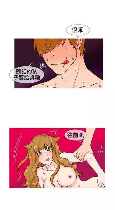 小野貓馴服手冊