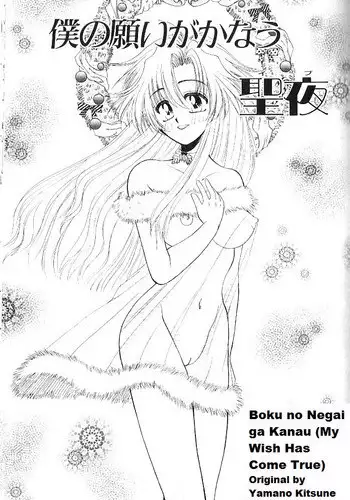 Boku No Negai ga Kanau [My Wish Has come True, rewrite