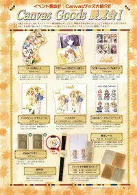 Canvas Visual Fan Book