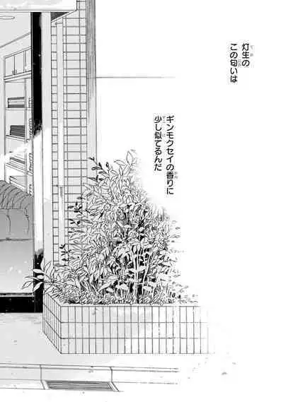 Ginmokusei no Shitateya