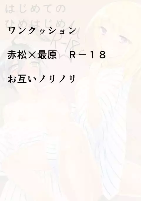 はじめての姫始め（赤最）