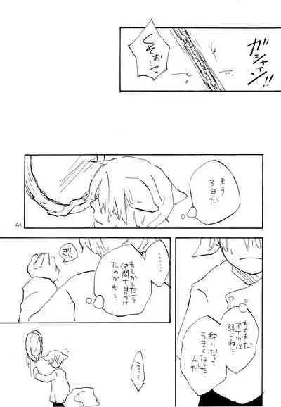 海の虹が沈む森