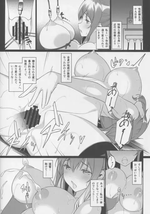 Meushi Dorei Sara no Netorare Choukyou Nisshi