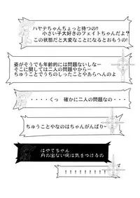 [Fresnel Lens (Hirano Kana)] 19→13 VerF (Mahou Shoujo Lyrical Nanoha) [Digital]