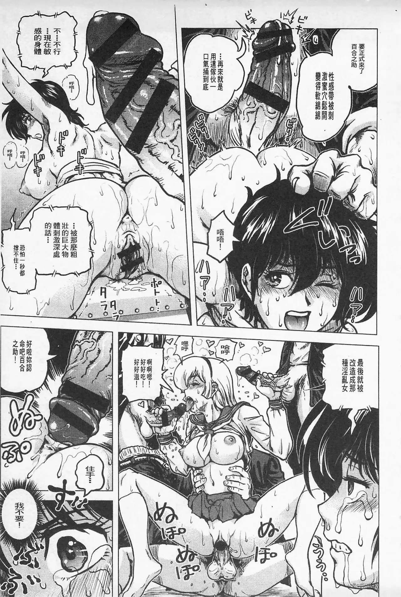 Hikoushiki Heroine Zukan | 非公式女性角色圖姦