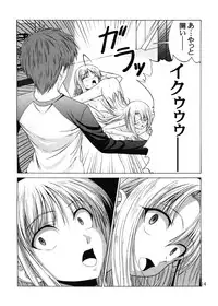 (C67) [Jishou Seijunha (Hiroyuki)] PLATONIC MAGICIAN H (Fate/stay night)