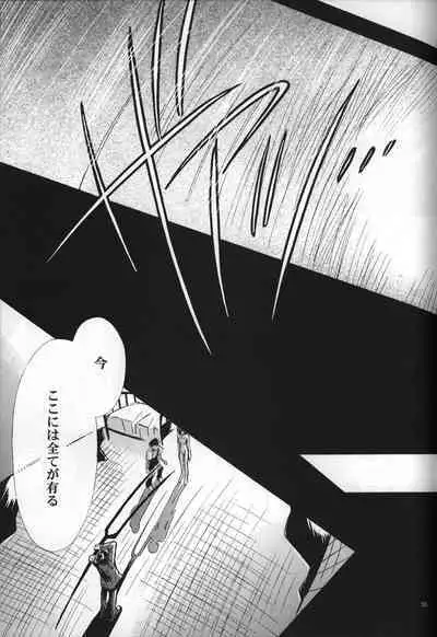 <Shinyaku> neon genesis document G