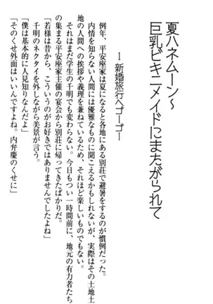 年上メイドの新婚日記