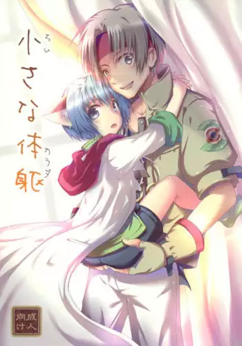 (C89) [Syounen Heroine (Tamaki Yui, Midou Ren)] Chiisana Taiku (Star Ocean 2)