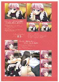 Walkure Romanze Visual Fan Book
