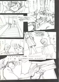 [T2 UNIT, RyuukiSya, Sakura ROC (Various)] LUNATIC ASYLUM (Sailor Moon)