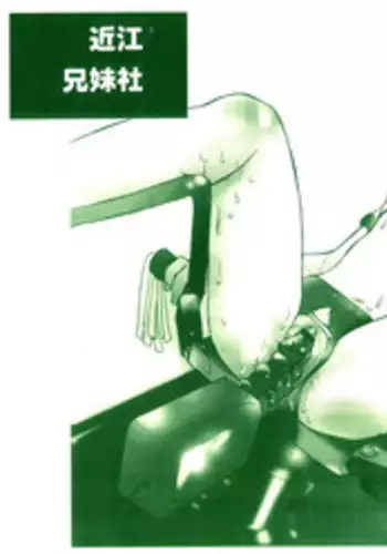 (C56) [Oumi Keimaisha] Shouni Kenkou Kigu [3rd Edition 2002-12-30]