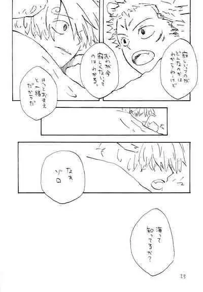 海の虹が沈む森