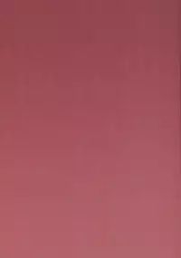 (C88) [50on! (Aiue Oka)] SECRET ENGAGE (Go! Princess PreCure) [Chinese] [鬼畜王汉化组]