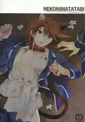 Nekonimatatabi Cardfight Vanguard!!