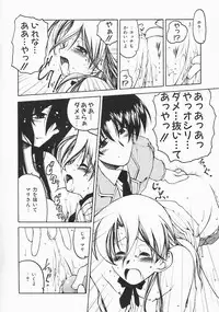 [Benjamin] Stray Sheep