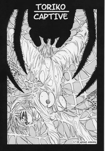 Momoyama Jirou - Kankin Ryoujoku - Toriko