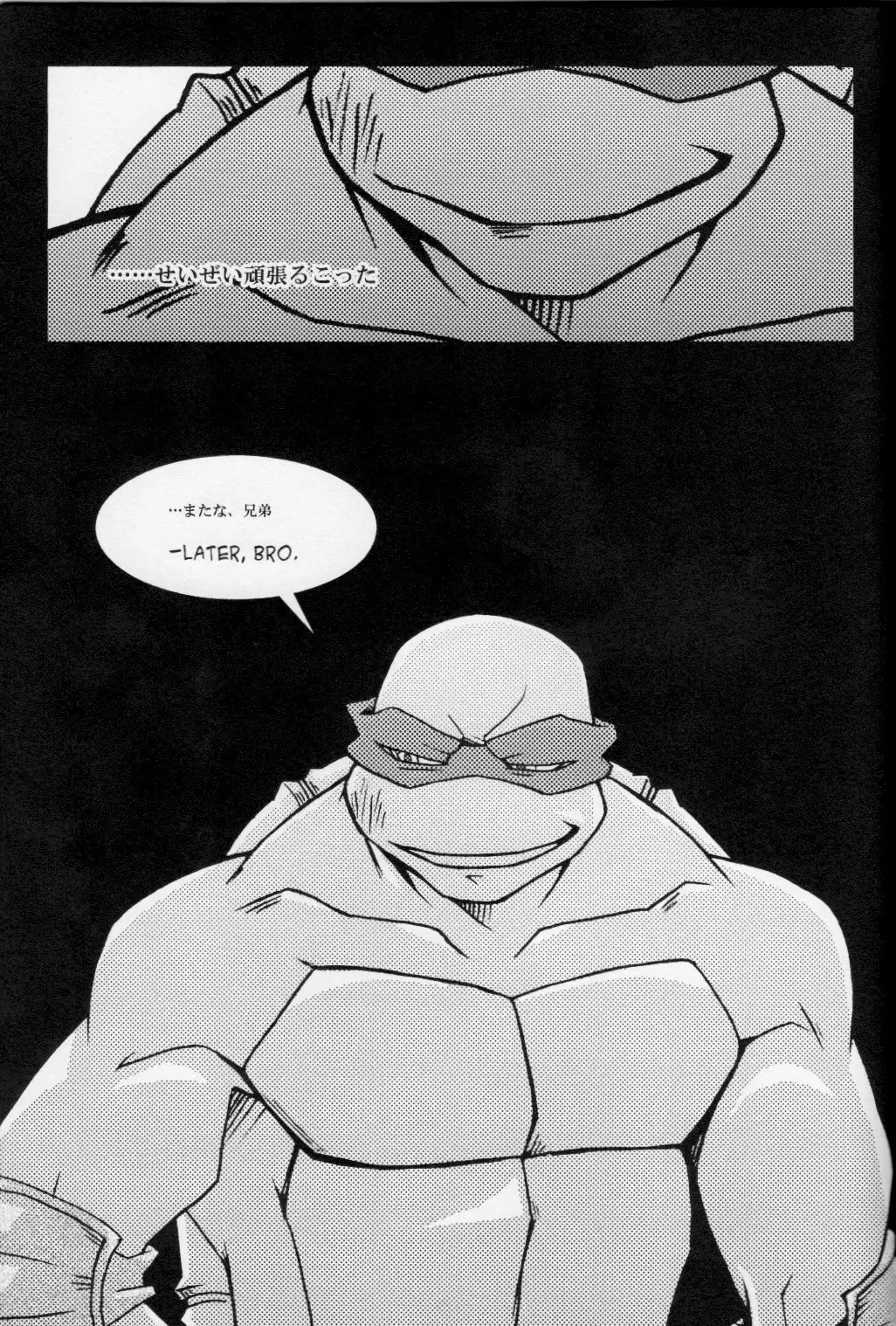 FALLEN - Raph vs Leo - Teenage Mutant Ninja Turtles, TMNT doujinshi