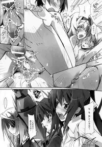 [Ryu-Seki-Do (Nagare Hyougo)] Nukegake Koneko no Nijuusou (Infinite Stratos)