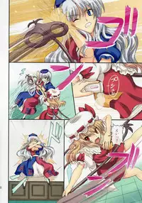 (C78) [Takakuya (Takaku Toshihiko)] Extend Party 2 (Touhou Project)